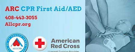 Red Cross Adult&Pediatric First Aid/CPR/AED class in Jacksonville 32246