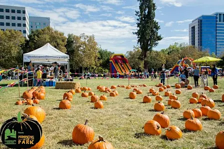 Volunteer at Pumpkins in the Park 2026