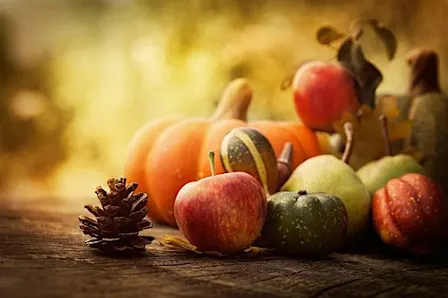 Thanksgiving at Camp Washington