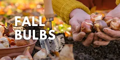 Fall Bulbs to Plant Now