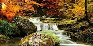 Mabon Fall Equinox Ceremony and Celebration