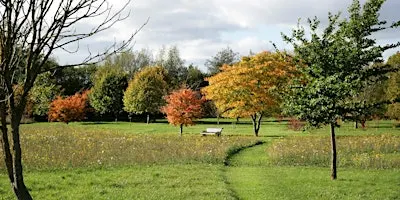 Autumn in the Heart of England Forest Arboretum - Guided Walk