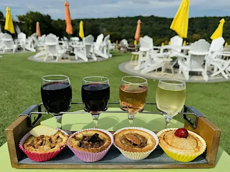Mini Fall Pies and Wine Pairing