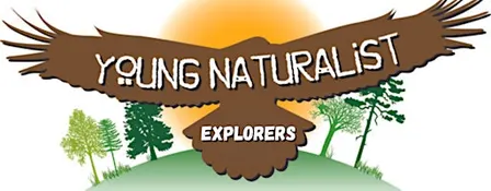 Young Naturalist Explorers:  Twilight Bat Hike