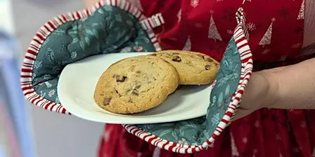 Sewing Skills - Christmas Oven Glove Mitts - IPS