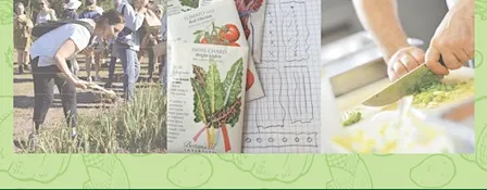 November 2026 Farm to Fork Workshop: Hydroponic Gardening (IN PERSON)