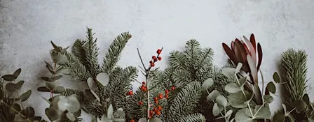 Let's Take Back the Holidays!