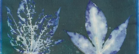 Intro to Cyanotype Prints