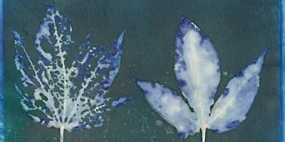 Intro to Cyanotype Prints