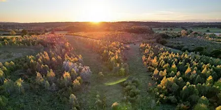 Winter Solstice Sunset Stroll