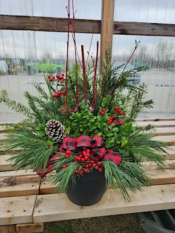 Winter Porch Pot - Sun 11/29