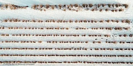 Parallel Programming in Python