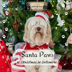 Santa Paws in Delamere Forest