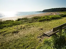 Mindful Walks on the Coastal Path