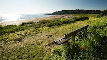 Mindful Walks on the Coastal Path
