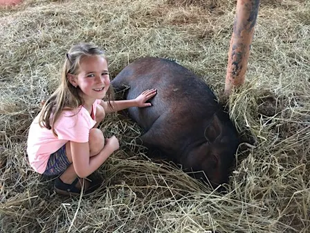 Poplar Spring Animal Sanctuary - Group tour