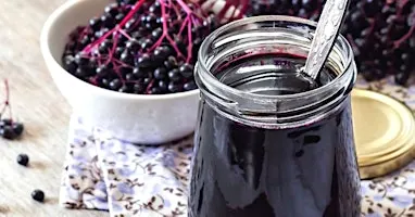 All About Elderberries Workshop