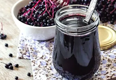 All About Elderberries Workshop