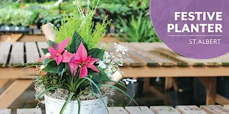 DIY Festive Planter | Workshop | Enjoy Centre | St. Albert