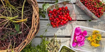“Bountiful Berries” Autumn Forage at Carswell Farm
