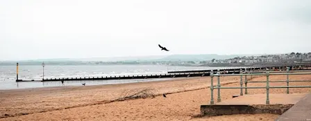 September's By the Beach Writing Retreat with Women Who Write Edinburgh