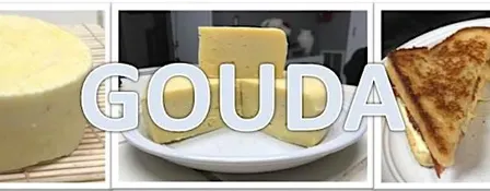 Cheesemaking - GOUDA