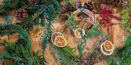 Peterborough area Nature Girls: Willow wreath making