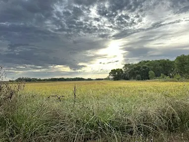 Explore the History of the Cosumnes River on a Guided Walk