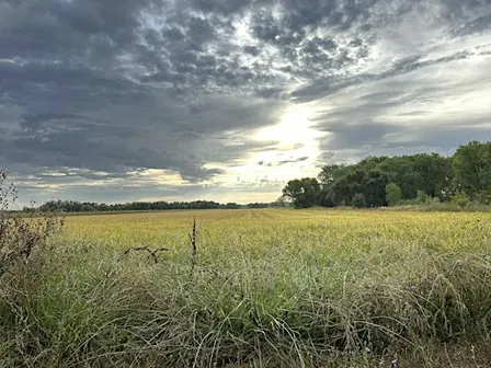 Explore the History of the Cosumnes River on a Guided Walk