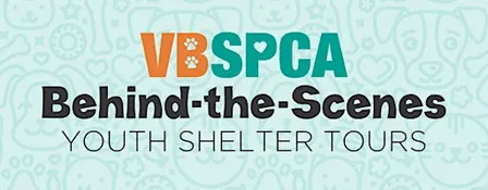 Virginia Beach SPCA Behind-the-Scenes Shelter Tours