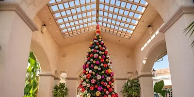 Annual Christmas Tree Lighting Ceremony