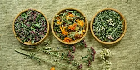 Herbal Winter Wellness
