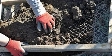 FREE Workshop: Advanced Composting