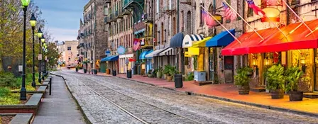 Solve Savannah’s secrets with an enchanting escape game!