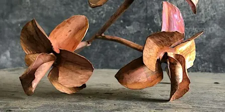 Copper Wildflower Workshop