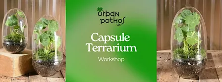 Glass Capsule Terrarium Workshop