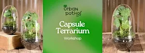 Glass Capsule Terrarium Workshop
