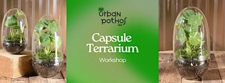 Glass Capsule Terrarium Workshop
