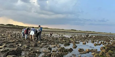 Intertidal Survey - Keyhaven