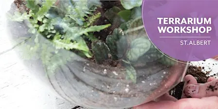 DIY Terrarium | Workshop | Enjoy Centre | St. Albert