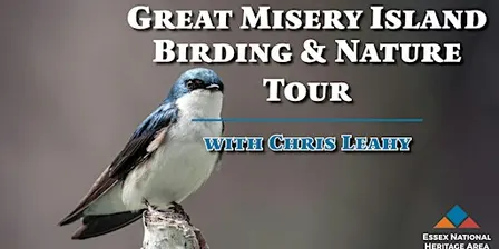 Great Misery Island Birding and Nature Tour with Chris Leahy