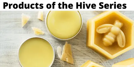 Lotion Bars | Make & Take Hands-On | In-Person
