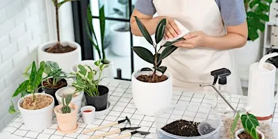 Houseplant 101 Workshop