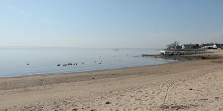 Crescent Beach Park Cleanup