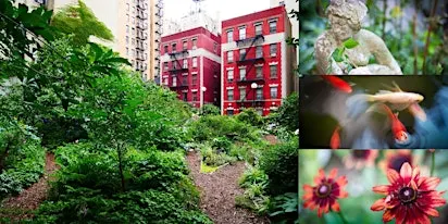 Private Tour @ Lotus Garden, Hidden Rooftop Garden