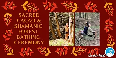 Sacred Cacao & Shamanic Forest Bathing Ceremony
