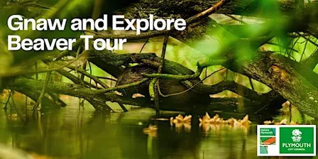 Poole Farm: Gnaw and Explore Beaver Tour