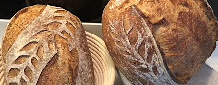 Learn to bake Sourdough at Home