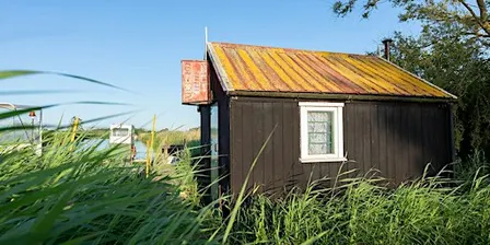 Eel Sett Guided Broads Ranger Walk
