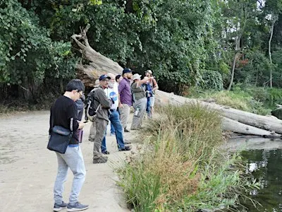 Lodi Lake Bird Walk